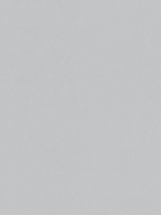 A100213