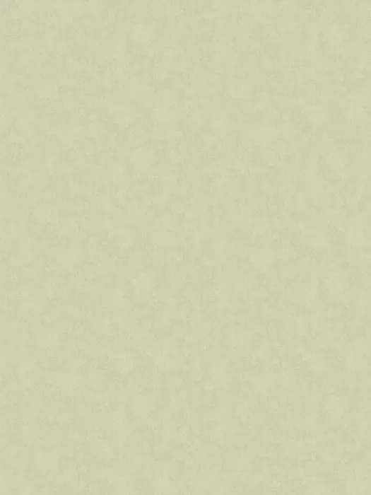 ARTS13 005-2
