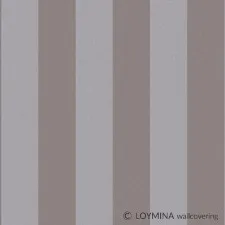 R4 008