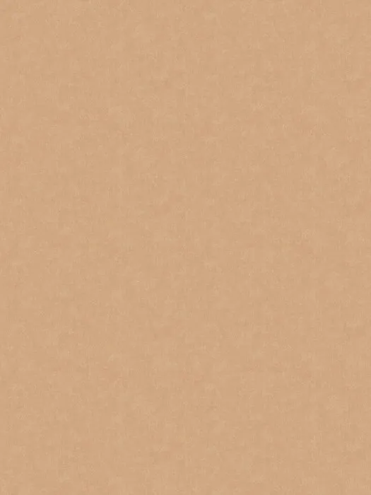 ARTS13 004-2