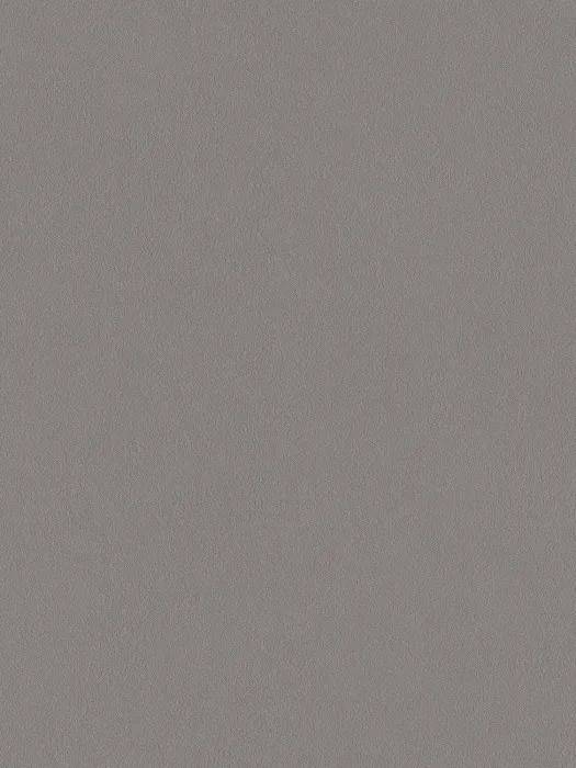 A100313