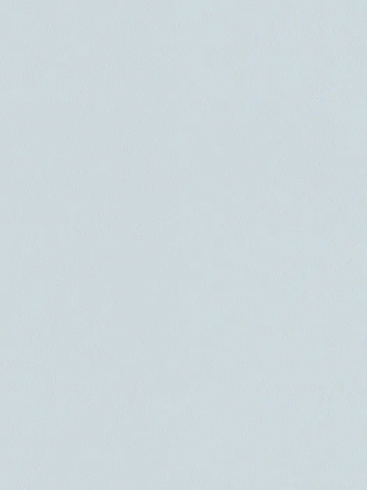 A100217