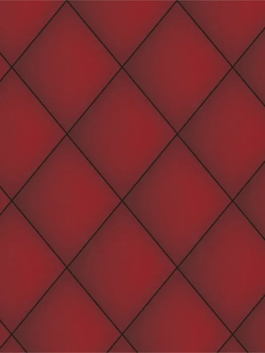 55521