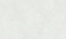 R173026