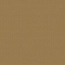 GC3 005-1