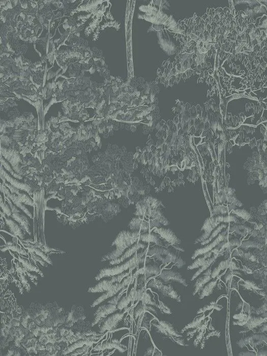AM5 008