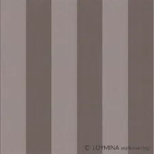 R4 010