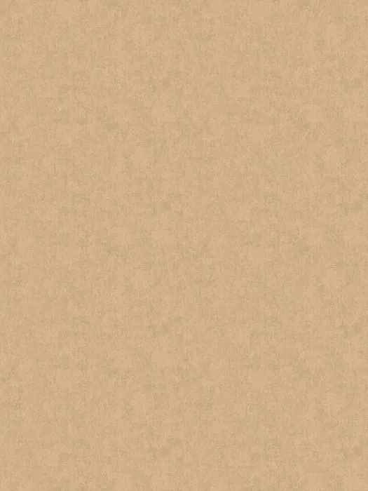 ARTS13 004-3