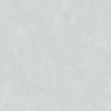 R166036