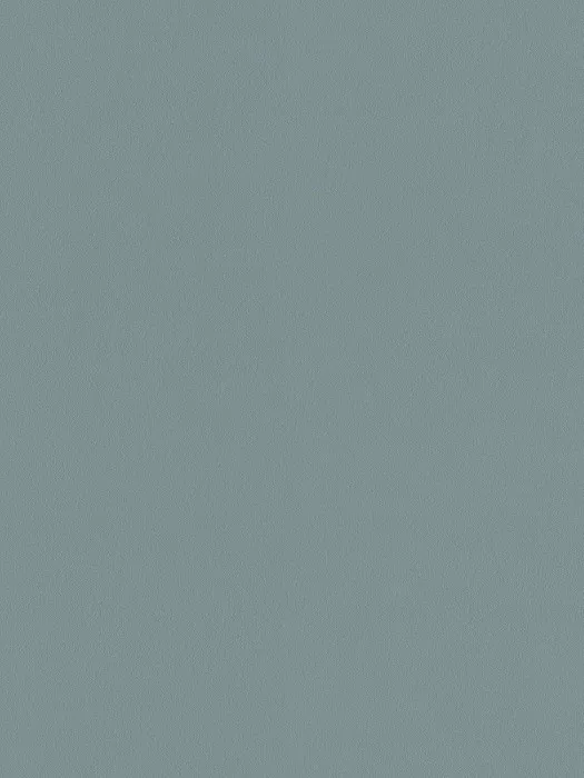 A100219