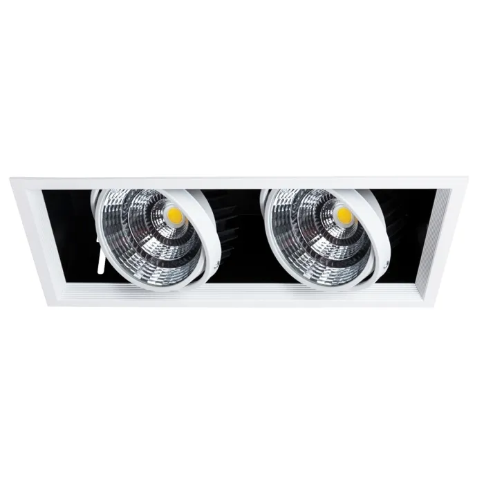 Карданный светильник Arte Lamp MERGA A8450PL-2WH | Дом Декора