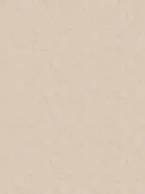 ARTS13 004_1