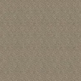 52504_1