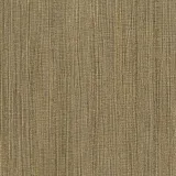50005