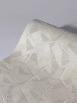 R 24132_5