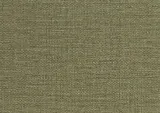 50155_3