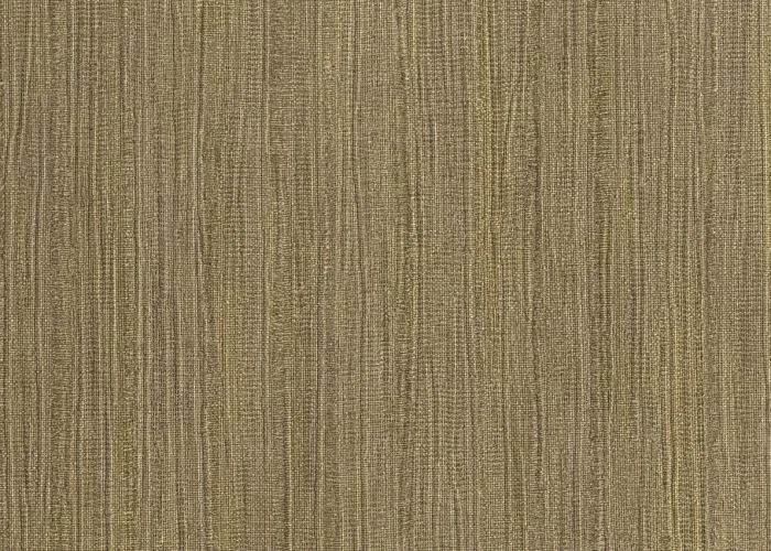 50005_3