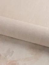R 25525_11