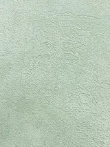 60677-06_1
