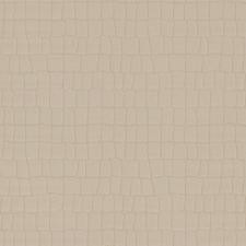 Обои Zambaiti Parati Philipp Plein Z80031