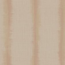 Обои Zambaiti Parati Philipp Plein Z80055