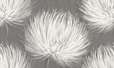 Обои Аспект Лола Лола75173-44