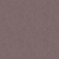 ST 0101